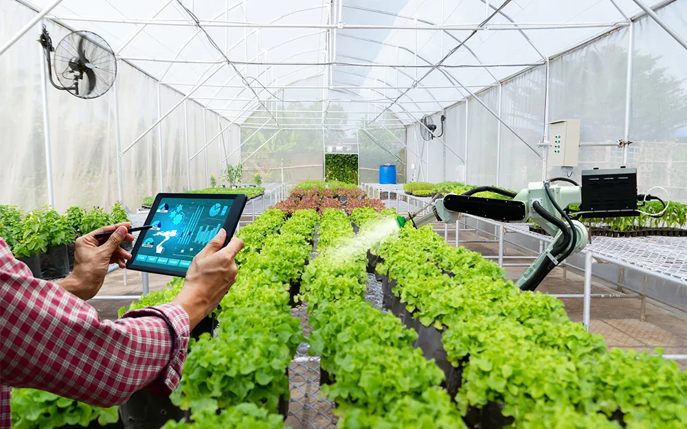 Meningkatkan Produktivitas Pertanian dengan Software Inovati 
